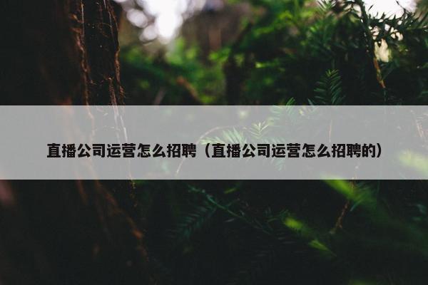 直播公司运营怎么招聘（直播公司运营怎么招聘的）