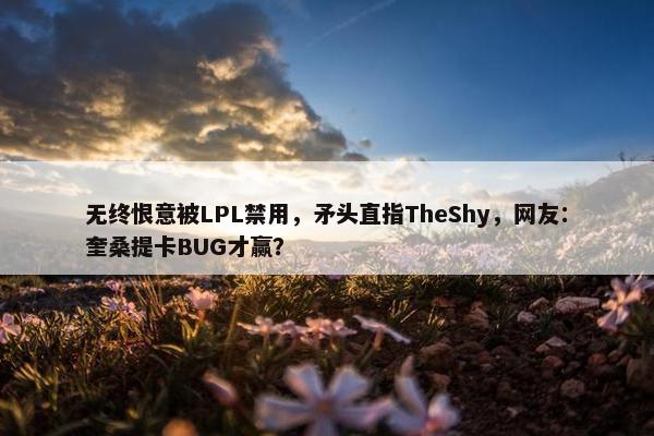 无终恨意被LPL禁用，矛头直指TheShy，网友：奎桑提卡BUG才赢？