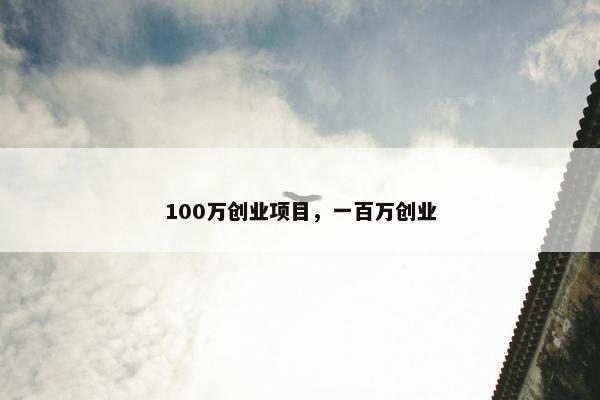 100万创业项目，一百万创业