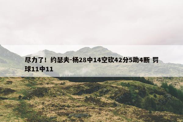 尽力了！约瑟夫-杨28中14空砍42分5助4断 罚球11中11